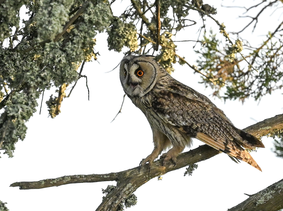 Se ressourcer dans la Nature, harmonie de vie et confiance en soi