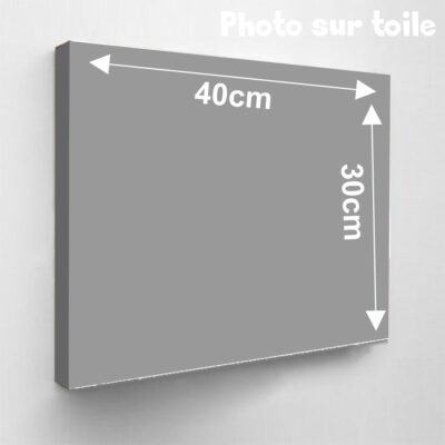 Photo sur toile à vendre en Vendée format 40x30 cm