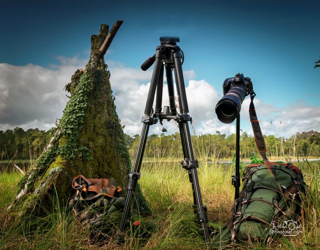 Matériel de photographie animalière fourni pendant le stage