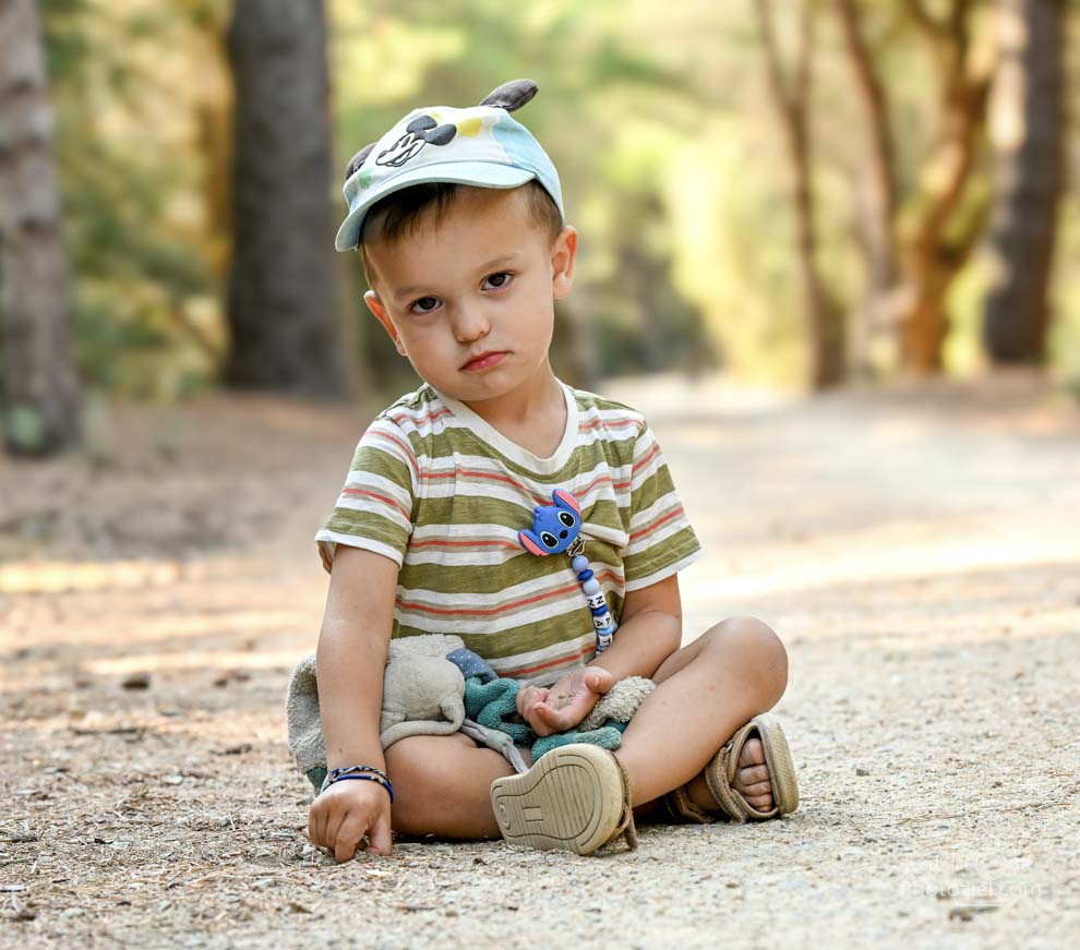 Séance photo avec un petit garçon dans la forêt en vendée