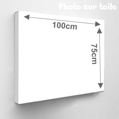 Photo sur toile à vendre en Vendée de 100 x 75 cm