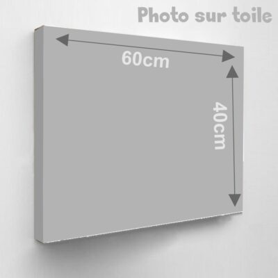 Boutique pour la vente de photo sur toile en Vendée