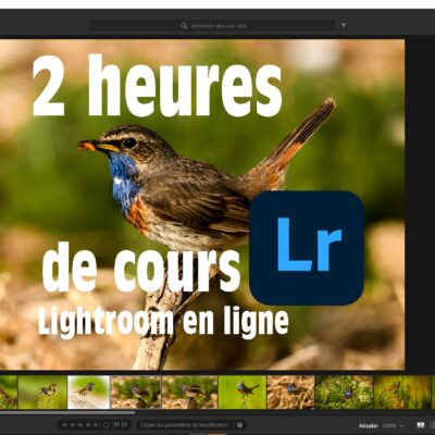Formation Ligthroom en Vendée